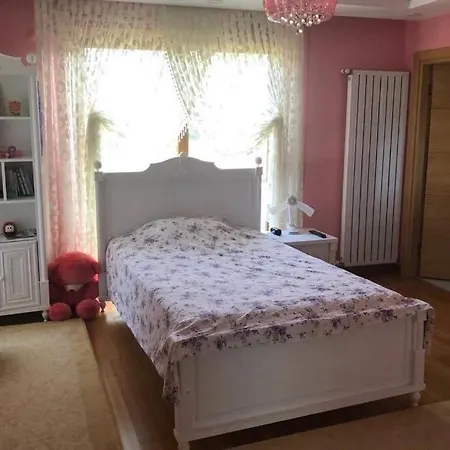 Essiz Deniz Manzarali Villa. Villa Çınarcık